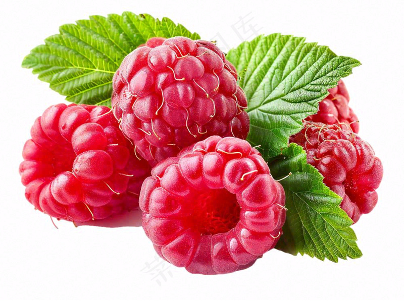 树莓水果摄影图免抠