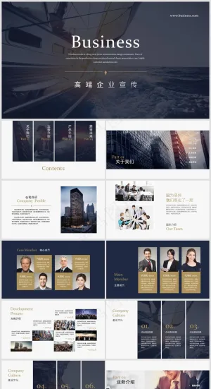 PPT模板丨宣传画册丨企业介绍丨工作总结丨述职报告丨图文排版002预览图