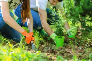 植树保护环境活动摄影图