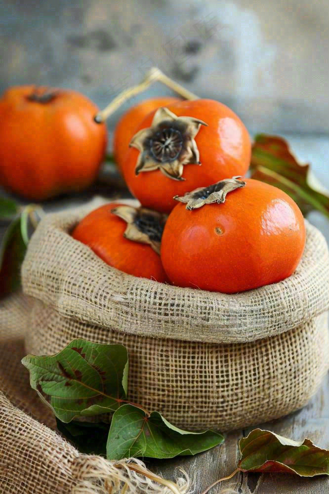 金黄成熟柿子水果秋天丰收秋分立秋摄影图