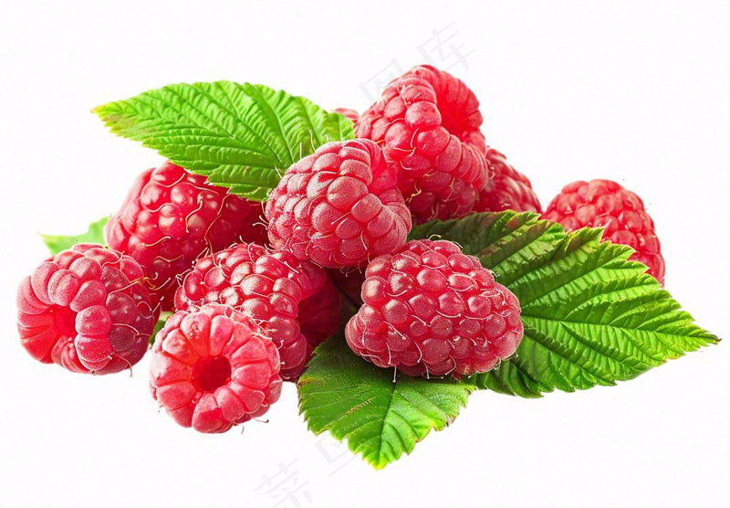 树莓水果摄影图免抠