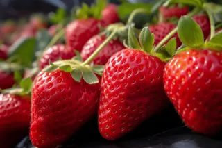 草莓水果摄影图