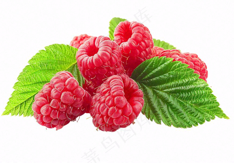 树莓水果摄影图免抠