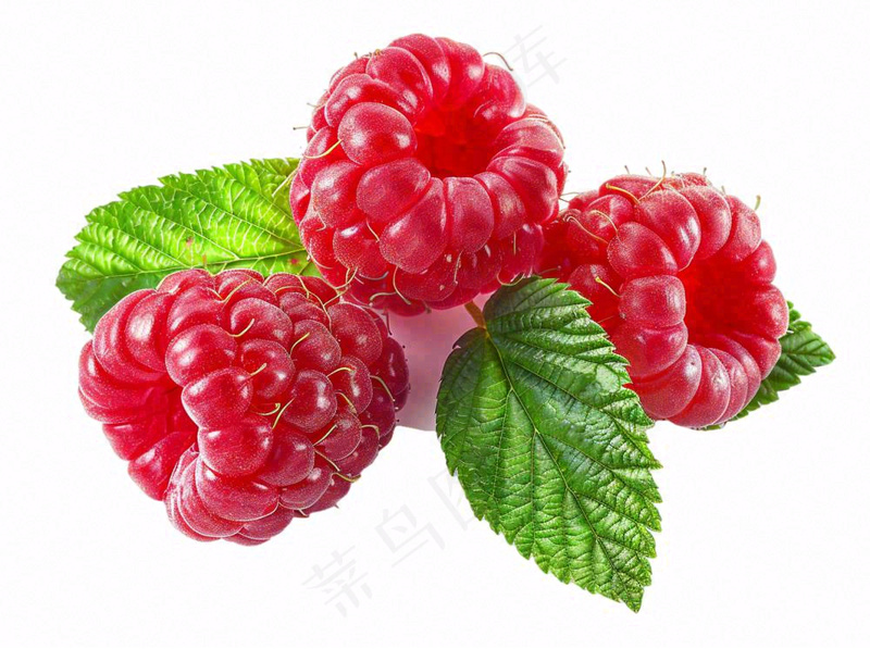 树莓水果摄影图免抠