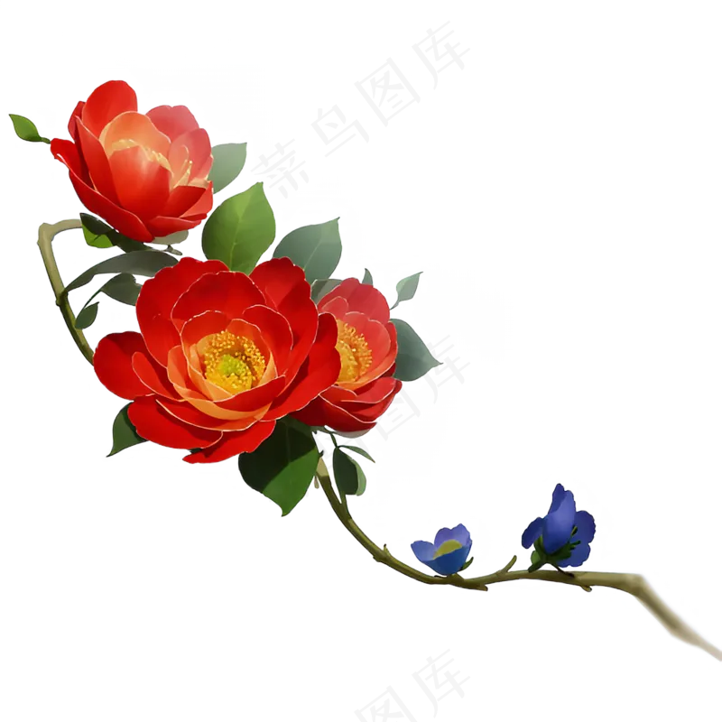 红色 海棠花 手绘 免抠 素材12