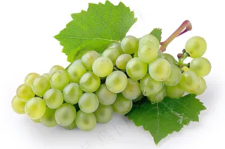 葡萄水果摄影图