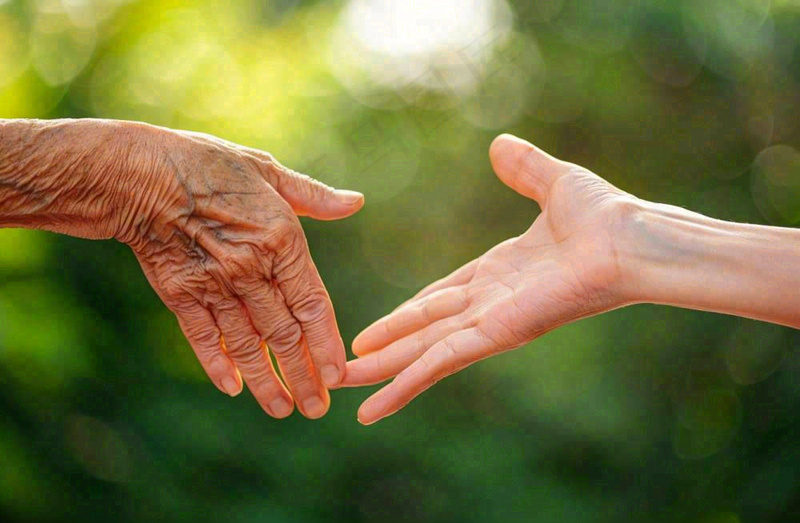 老人手牵手握手陪伴温馨重阳摄影图