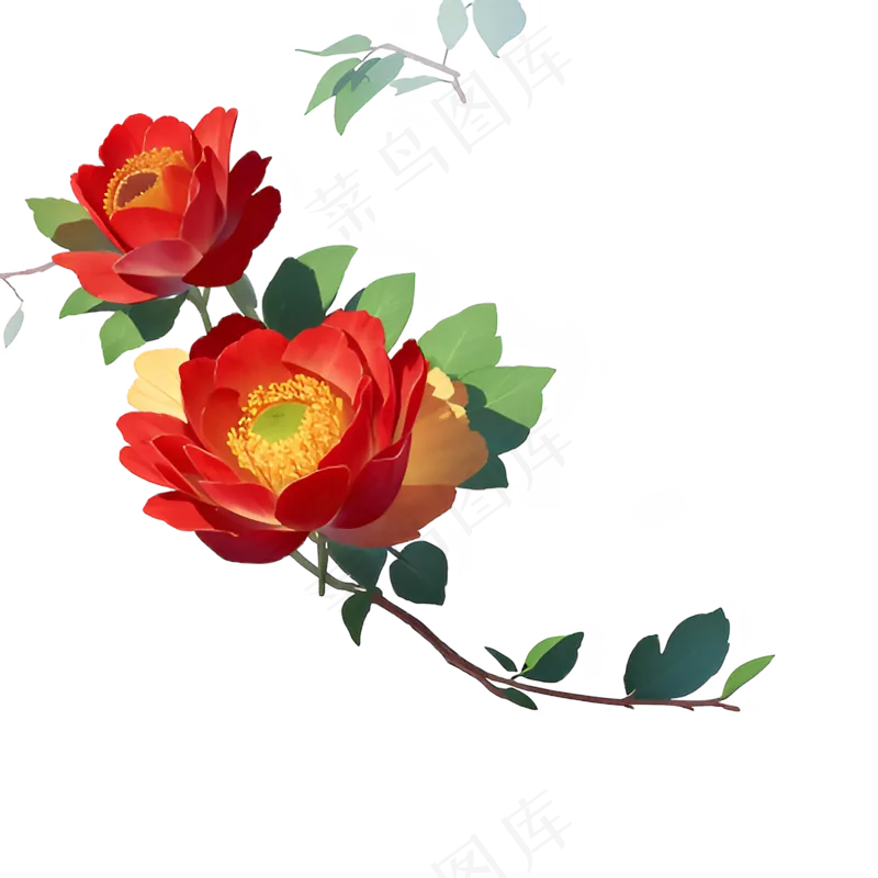 红色 海棠花 手绘 免抠 素材28