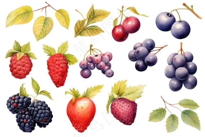 莓果草莓桑葚树莓水果元素插画免抠