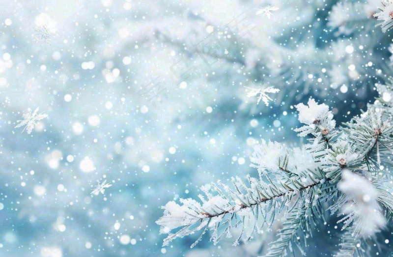 冬天松树上挂满了白雪雾凇立冬霜降冬至大雪摄影图