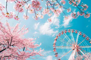 春日樱花花朵摄影图
