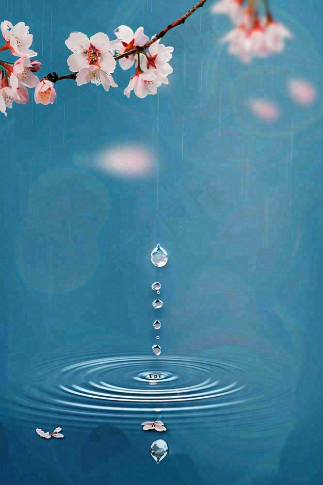 春天梅雨时节雨滴飘落在梅花滴落在水面上泛起涟漪雨水谷雨寒露摄影图