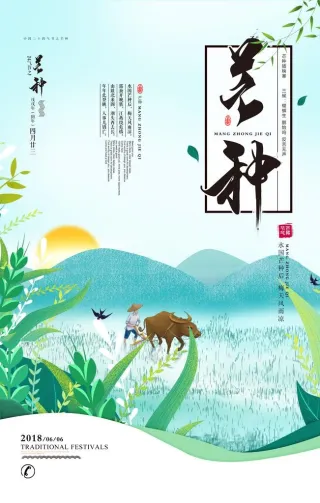芒种海报图片