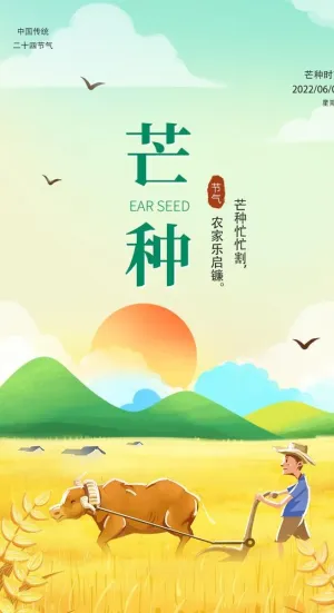 芒种节气海报图片