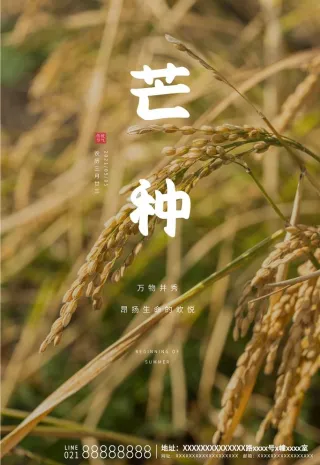 芒种图片