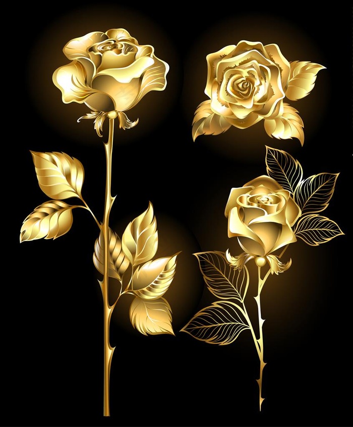 金色的铿锵玫瑰图片图片