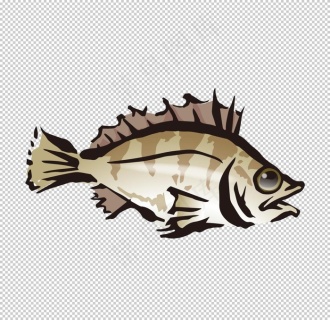 石斑鱼水彩绘画海鱼鱼类海产图案图片