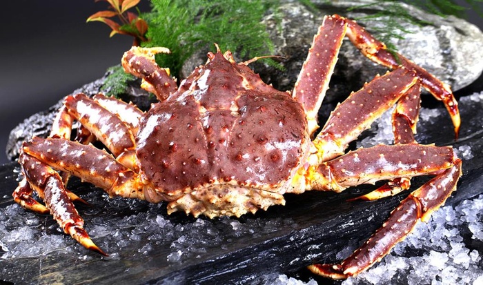 2021帝王蟹多少钱一斤帝王蟹为什么卖这么贵