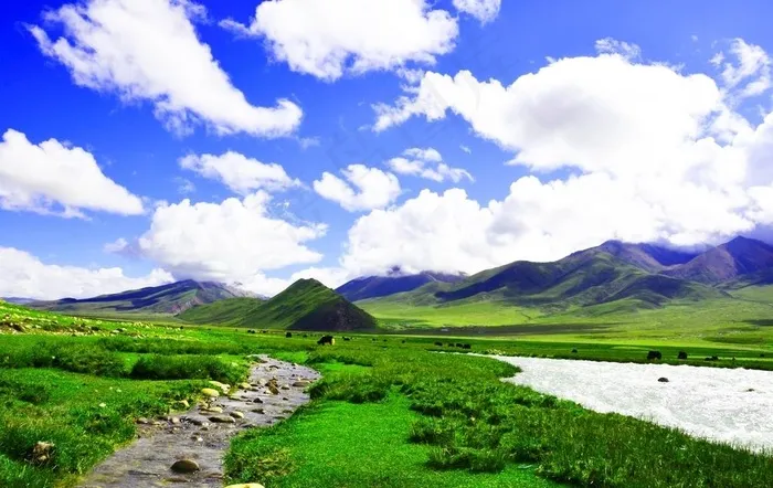 西藏风景雪山草原小溪蓝天白云图片