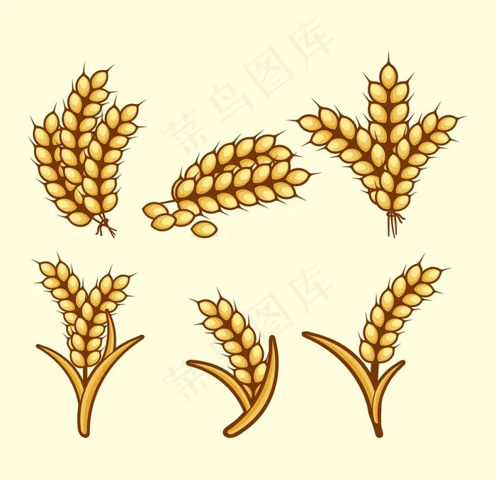 矢量素材麦穗麦子植物图片