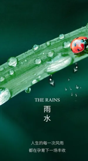 雨水谷雨节气海报图片