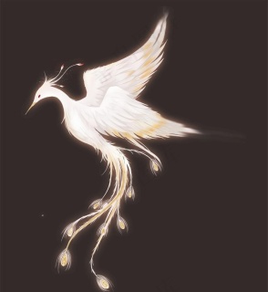 凤凰涅盘神鸟七彩百鸟朝凤png神兽免抠元素4000x4000dpi300psd模版