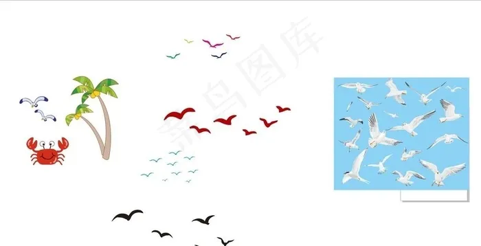 海鸥 飞翔 飞翔的海鸥 海鸟图片
