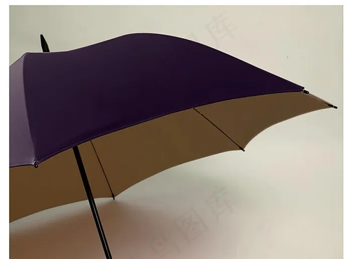 雨伞 伞图片