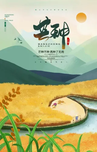 芒种海报图片