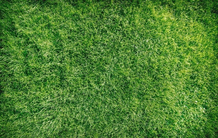 本素材作品名称为绿色草皮图片,素材编号是2462483, 						是一张格式