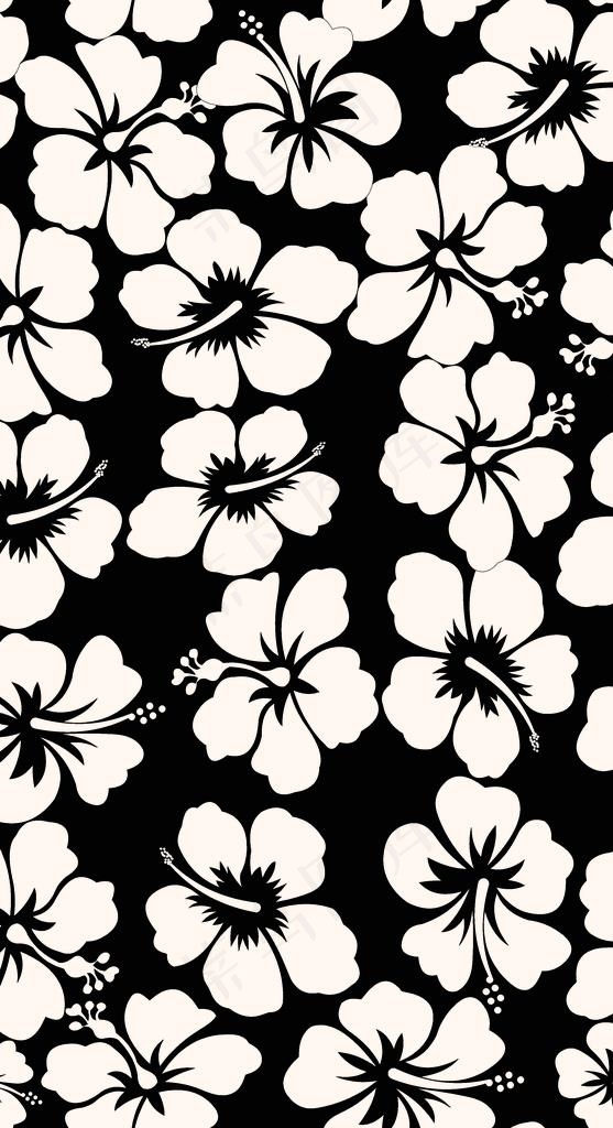 黑白花图片