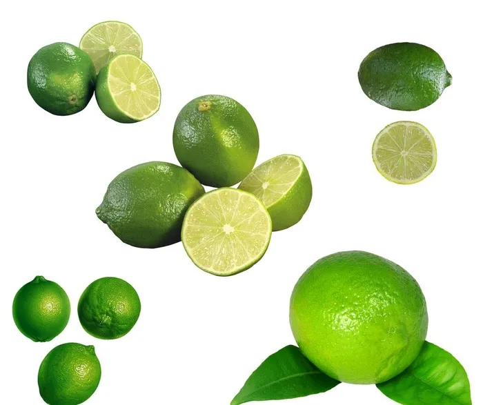 青柠檬素材图片 2379x68 Psd模版下载 菜鸟图库