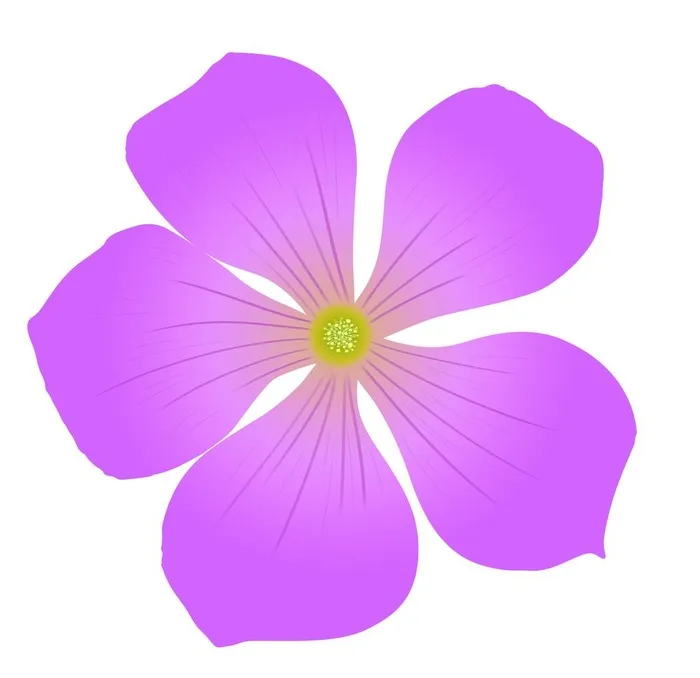 紫色花朵手绘图片