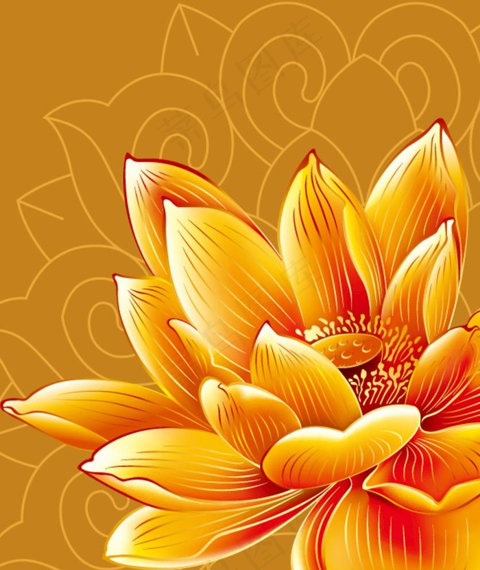 金色荷花图片ai矢量模版下载