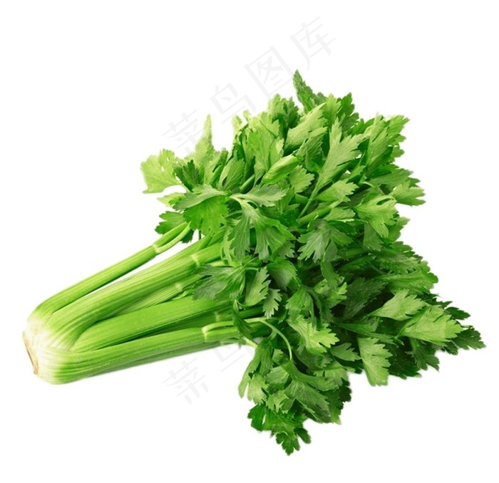 芹菜图片 - 菜鸟图库
