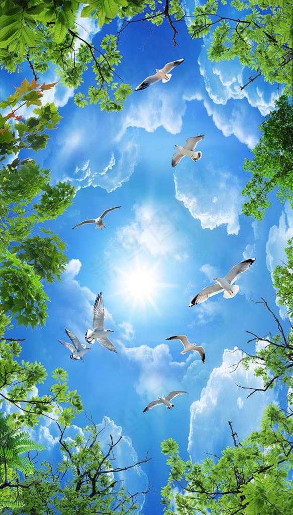 蓝天白云树木鸽子图片