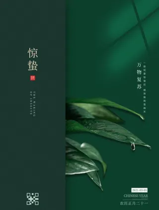 创意极简惊蛰雨水春分二十四节气图片