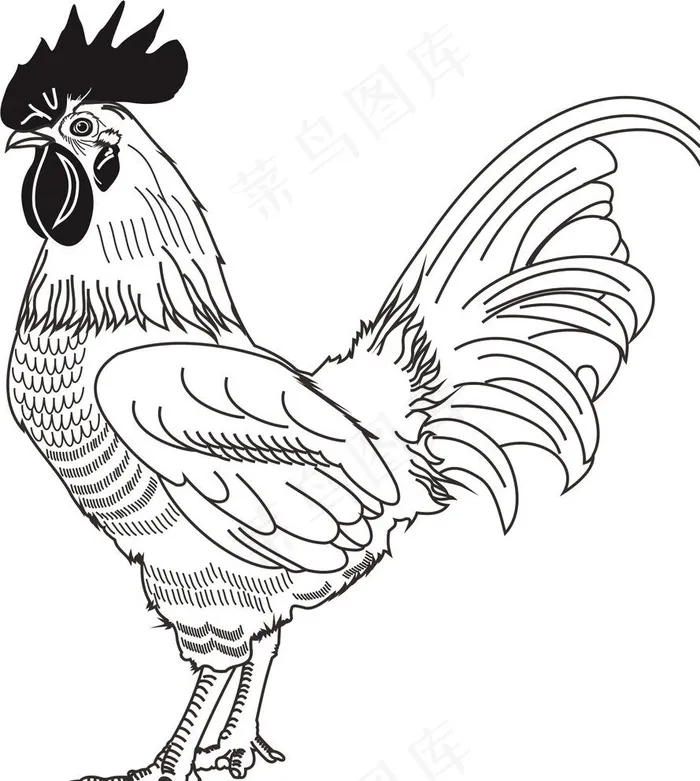 线条鸡图片cdr矢量模版下载