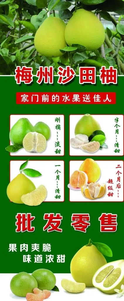 梅州沙田柚展架海报图片psd模版下载