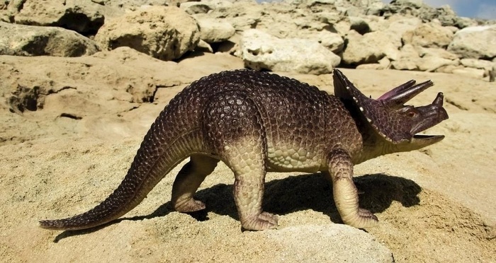 恐龙侏罗纪侏罗纪公园动物图片