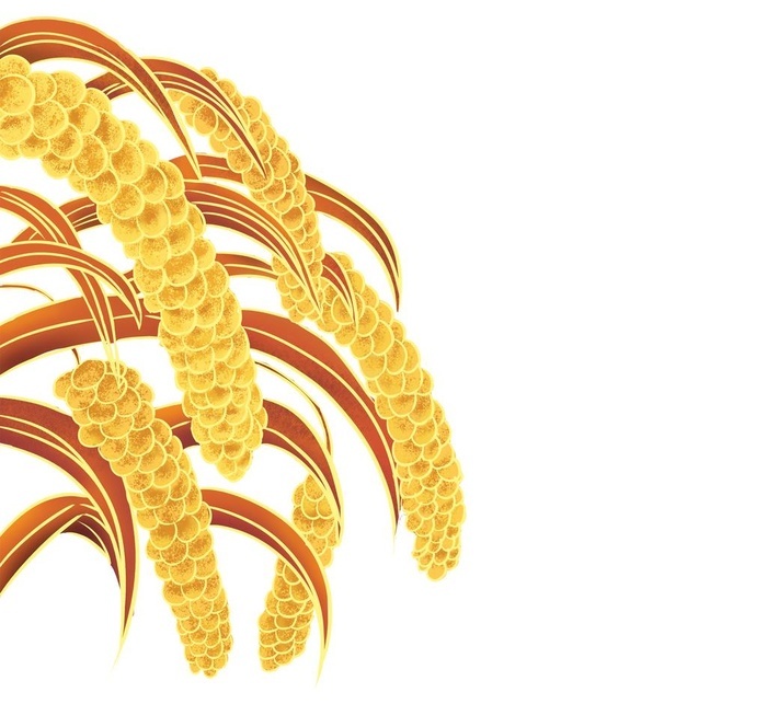 小米手绘素材图片