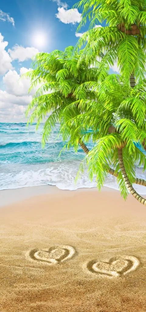 爱琴海椰树海边风景图片
