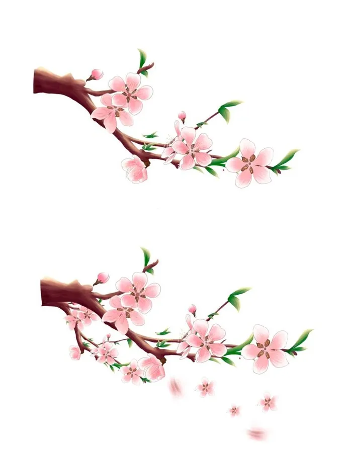 樱桃花树枝飘落图片