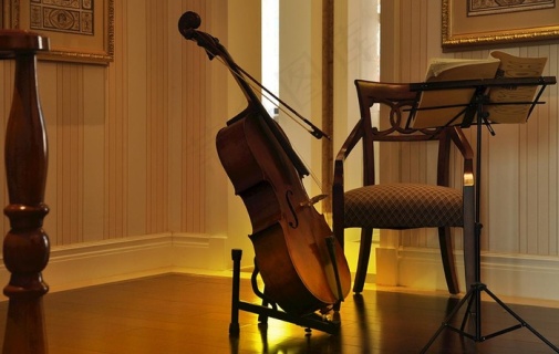 大提琴图片2894x4134dpi350psd模版下载