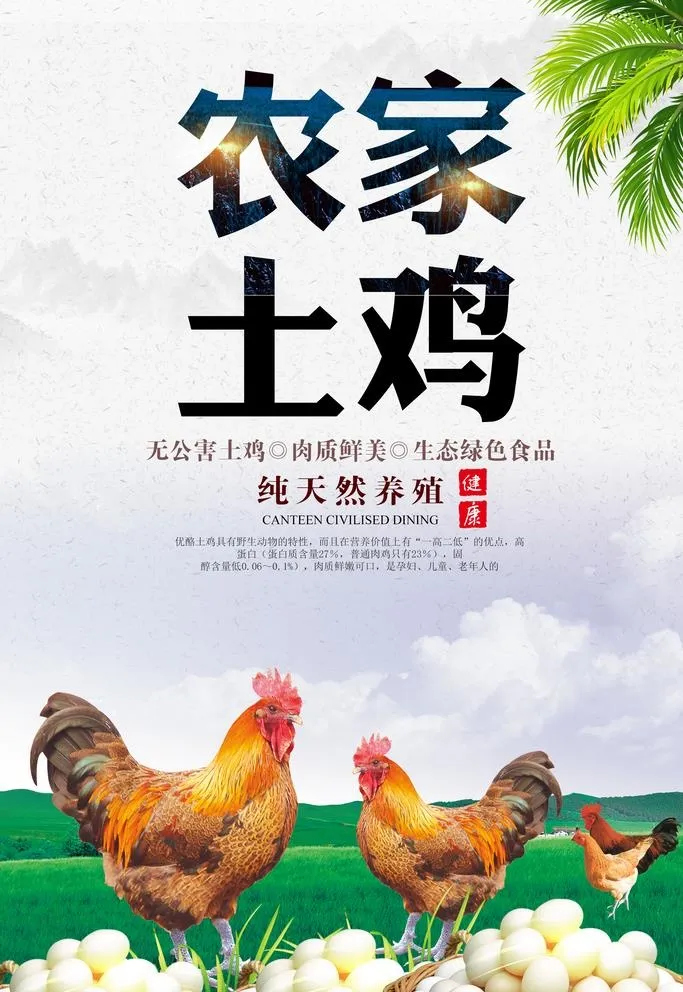 农家土鸡图片3000x4501psd模版下载
