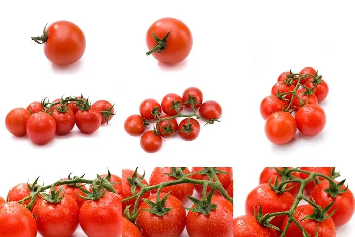 西红柿 番茄 图片