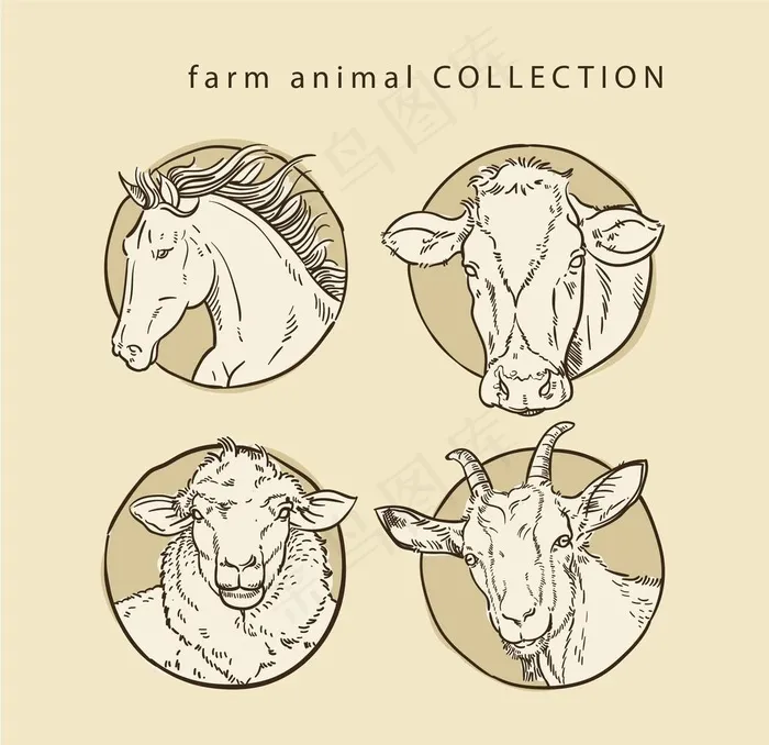 羊  卡通羊 手绘羊  动物图片