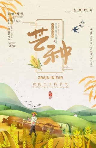 芒种海报图片