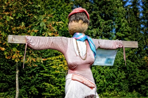 稻草人会员卡图片1004x650psd模版下载