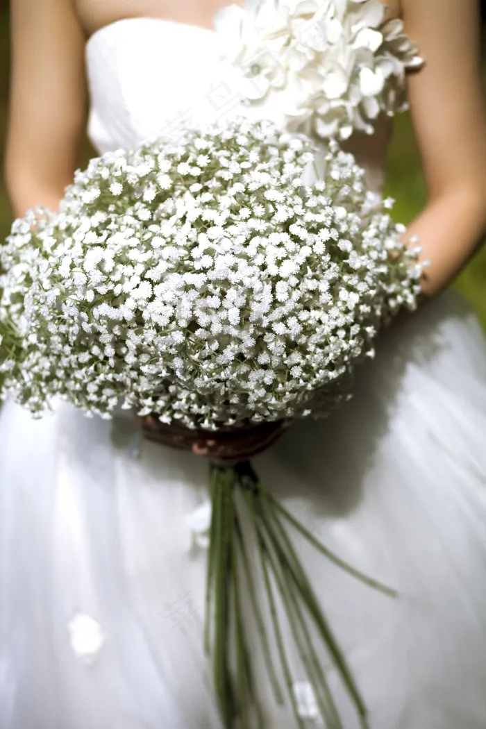 手捧花,满天星,香囊,干花花束,婚礼,新娘举行白色花束